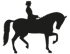 dressage-icon-2